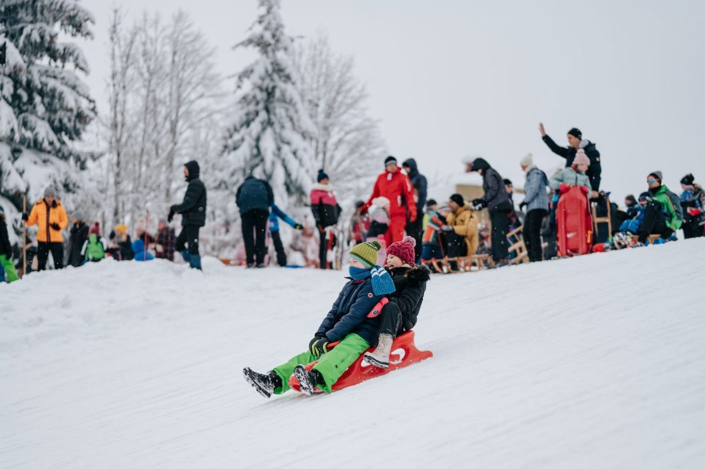 Gorski kotar sledding