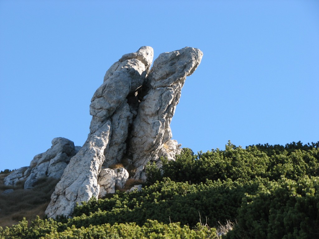 Snjeznik hike
